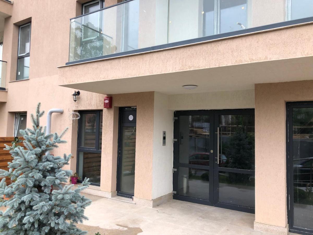 Lakeview 2 Room Penthouse Rooftop Terrace W15 부쿠레슈티 외부 사진